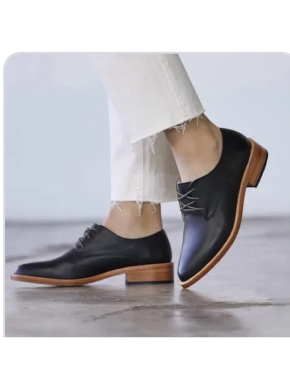 NISOLO James Oxford size 8.5